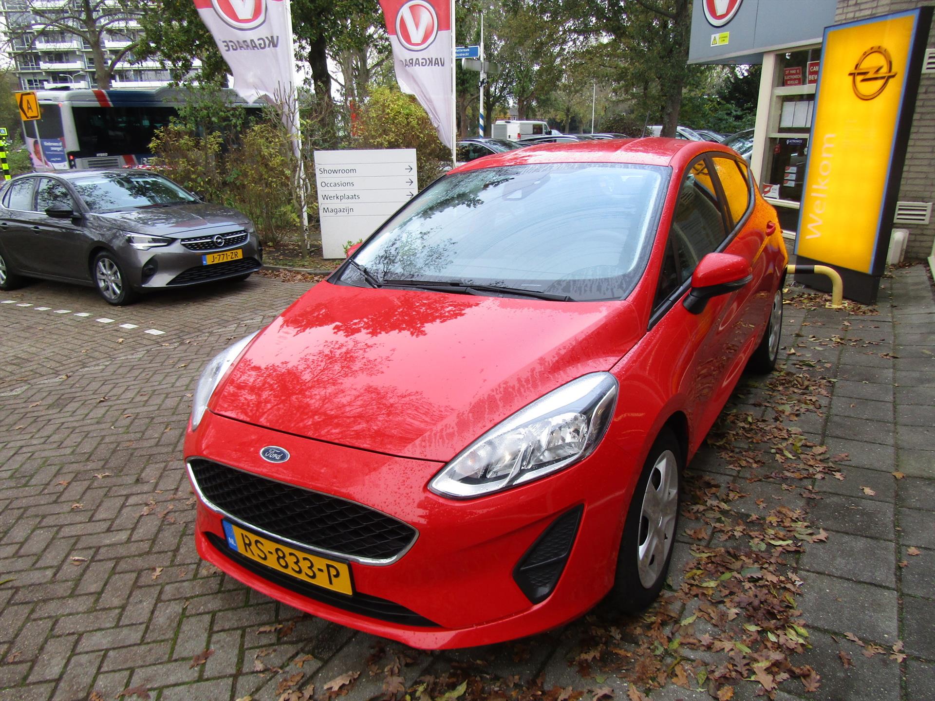 40851340-4.jpg