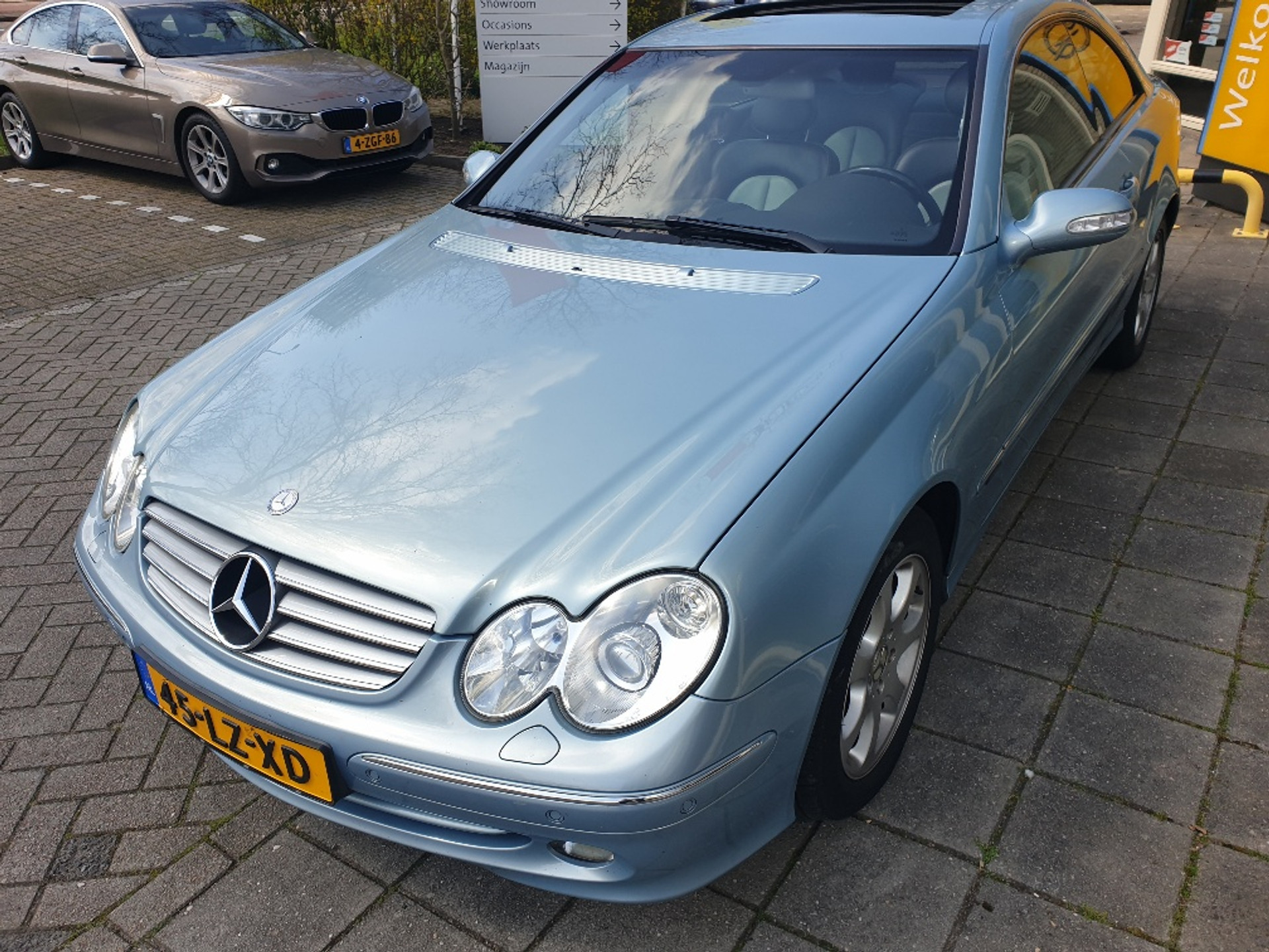 41272831-4.jpg