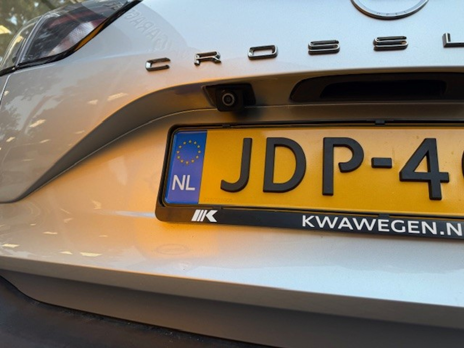 47558951-8.jpg