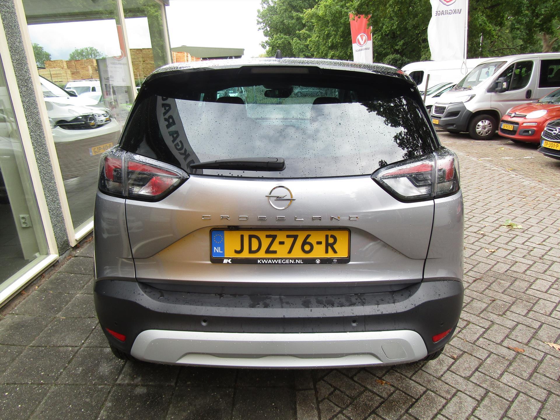 47572739-3.jpg