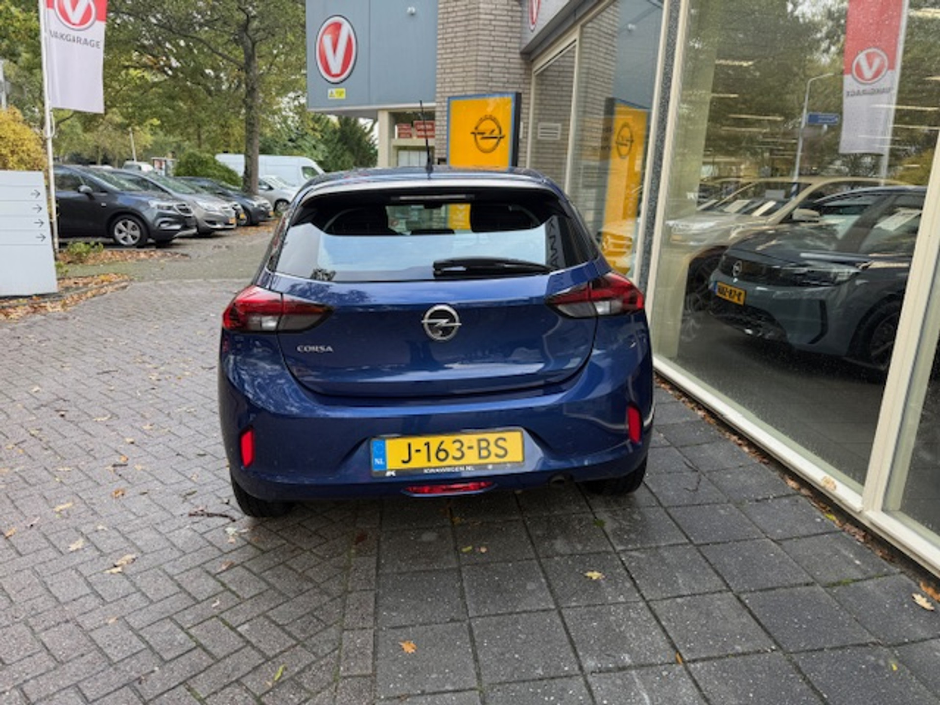 48534482-4.jpg
